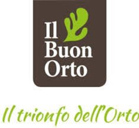 Immagine per la categoria Piante da Orto in Vaso