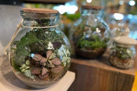 Immagine per la categoria Composizioni