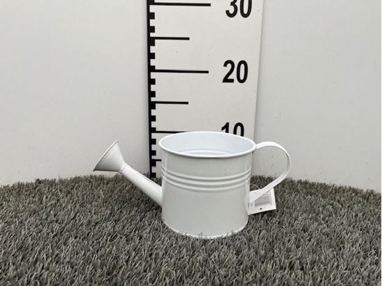 Immagine di BAGNAFIORI LATTA BIANCO D.12x10H ND-750150057