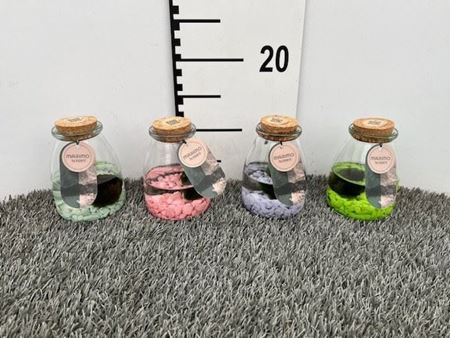 Immagine di COMPOSIZIONE NR.04 MARIMO