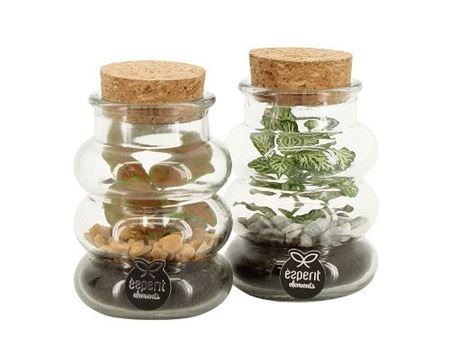 Immagine di TERRARIUM NR.02