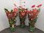 Immagine di ANTHURIUM ANDR. MIX V.17 CM 4-6 fiori